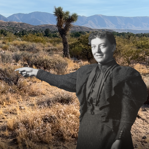 Excerpted Portrait of Constance in the Desert