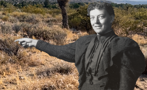 Excerpted Portrait of Constance in the Desert